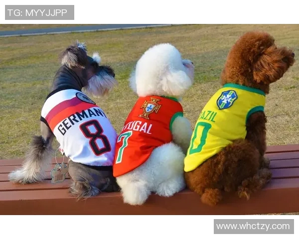 足球明星的宠物实力揭秘它们在场外的独特魅力与惊人技能